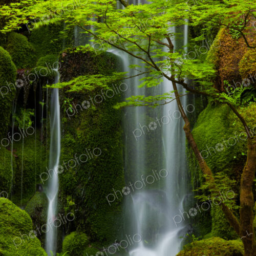 Waterfall, Columbia River Gorge, Oregon, USA