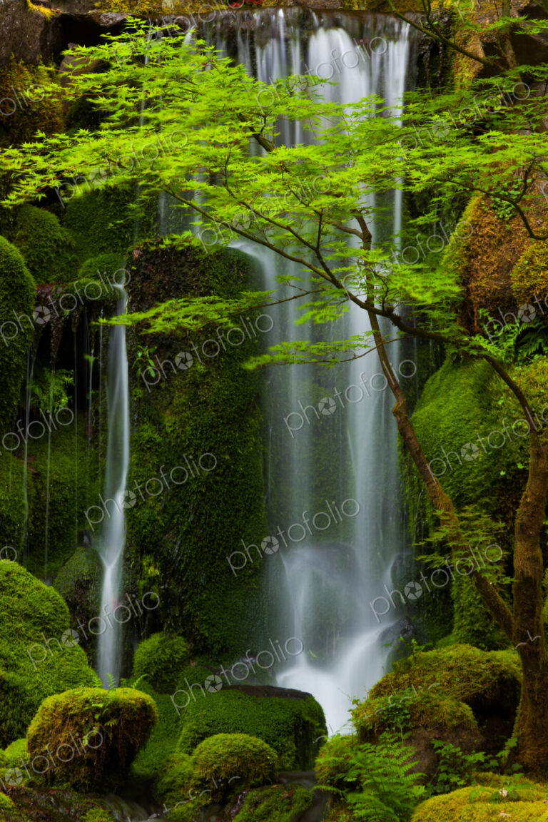 Waterfall, Columbia River Gorge, Oregon, USA
