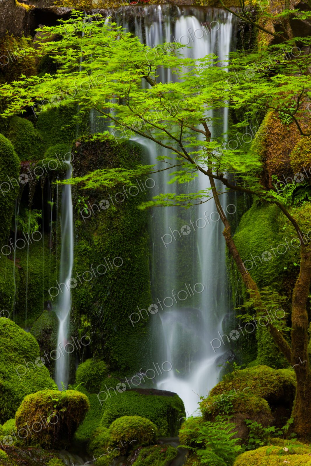 Waterfall, Columbia River Gorge, Oregon, USA