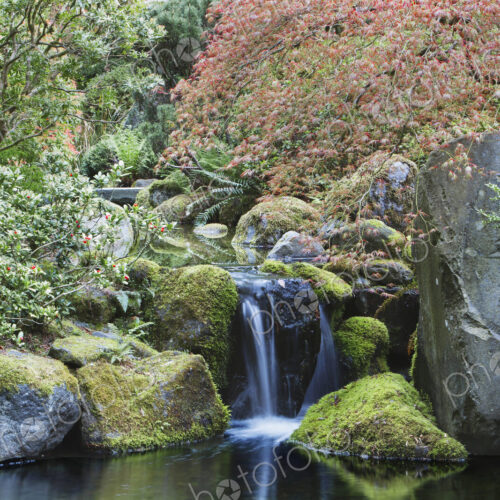 Waterfall and still pool, Portland, Oregon, United States Waterfall and still pool, Portland, Oregon, United States