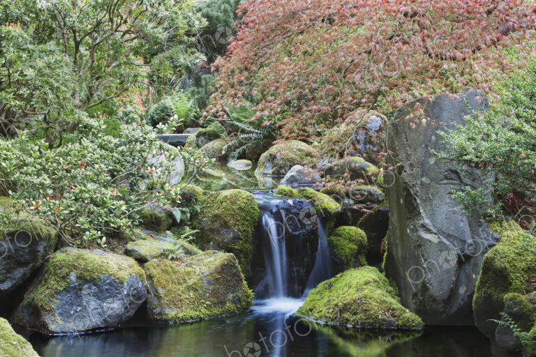 Waterfall and still pool, Portland, Oregon, United States
