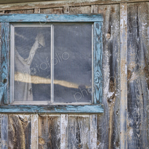 Weathered Shack Wall