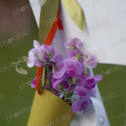 Wedding party chair, a paper cone of lavender coloured sweet peas. Wedding party chair, a paper cone of lavender coloured sweet peas.