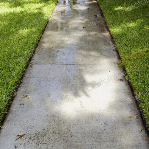 Wet Sidewalk Through Grass Wet Sidewalk Through Grass