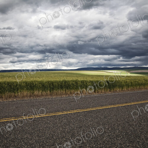 Wheat field areas of eastern Washington, USA Wheat field areas of eastern Washington, USA