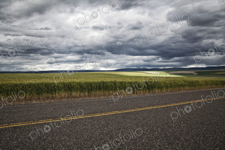 Wheat field areas of eastern Washington, USA