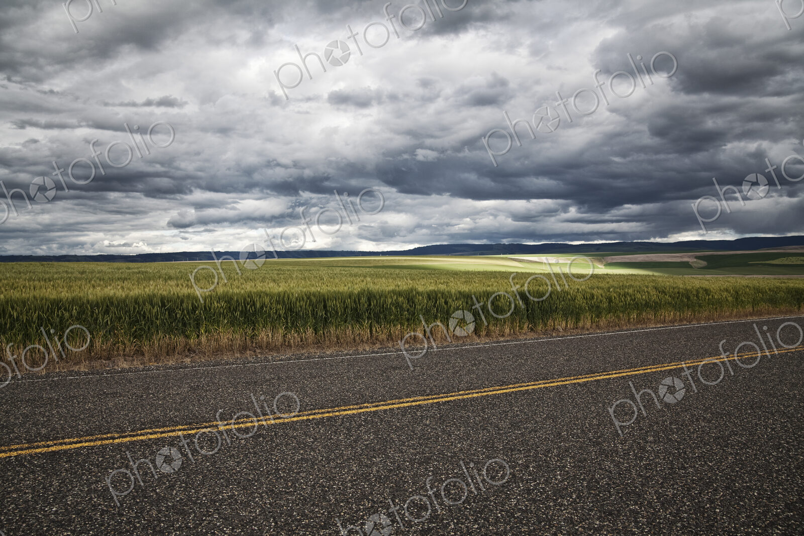 Wheat field areas of eastern Washington, USA