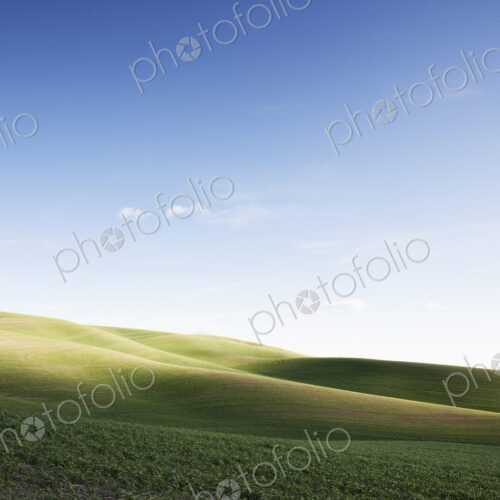 Wheat field areas of eastern Washington, USA Wheat field areas of eastern Washington, USA