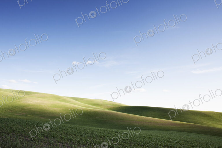Wheat field areas of eastern Washington, USA