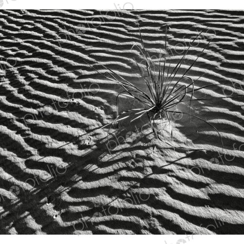 White Sands NP, Alamogordo,