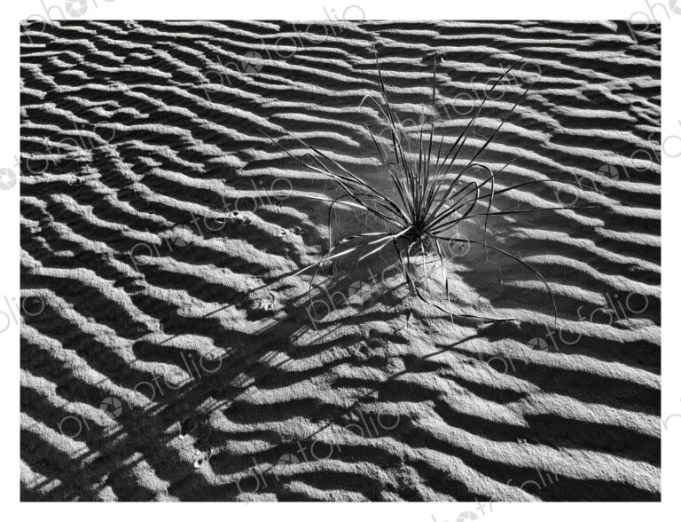 White Sands NP, Alamogordo,