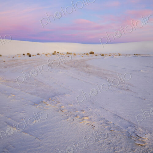 White Sands National Park, Alamogordo, tracks on the sand surrface, and reflections of…
