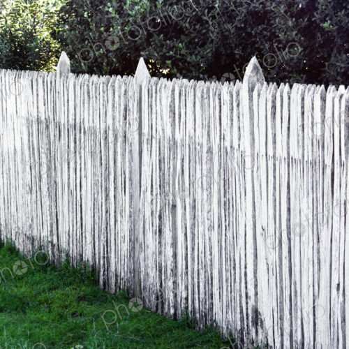 White Wooden Picket Fence