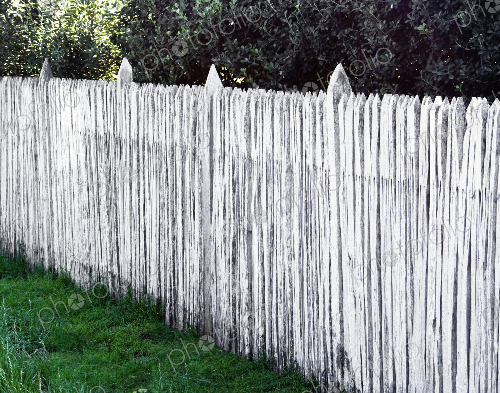 White Wooden Picket Fence