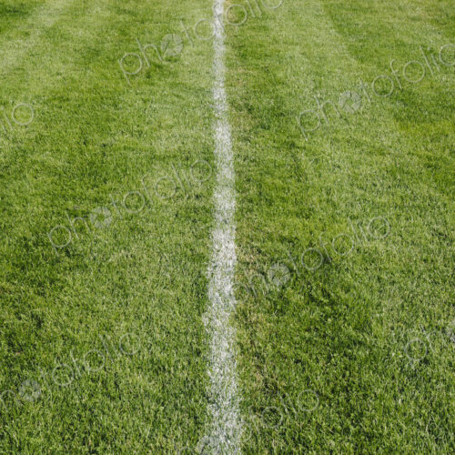White center line on freshly cut grass. A sports playing surface. White center line on freshly cut grass. A sports playing surface.