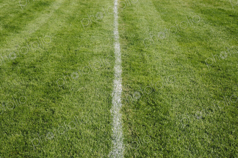 White center line on freshly cut grass. A sports playing surface.