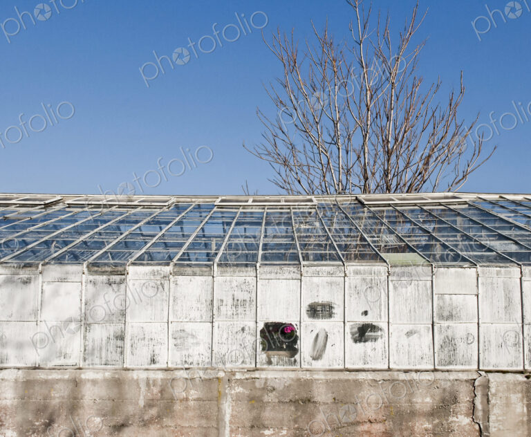 Whitewashed Windows on a Greenhouse