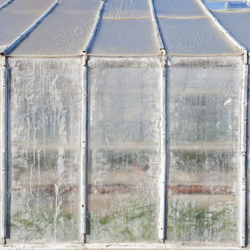 Whitewashed Windows on a Greenhouse Whitewashed Windows on a Greenhouse