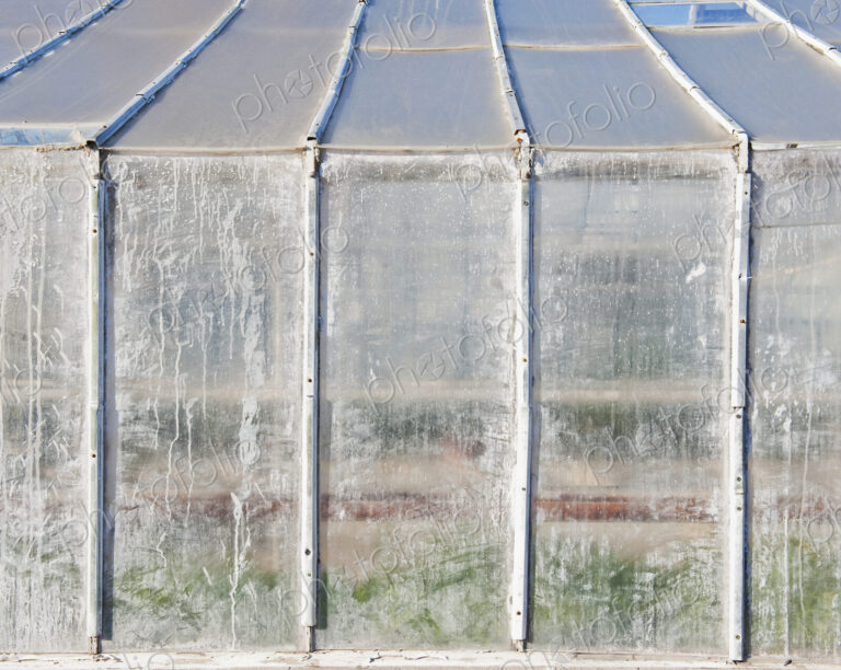 Whitewashed Windows on a Greenhouse