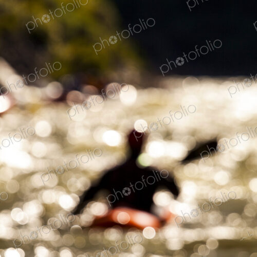 Whitewater kayaker paddling in Impassable Canyon, Middle Fork Salmon River, rear view,…