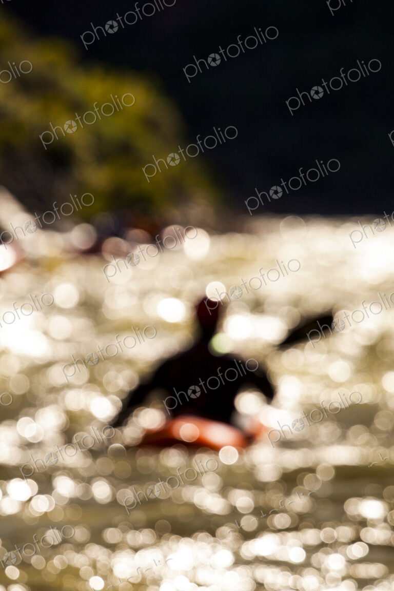 Whitewater kayaker paddling in Impassable Canyon, Middle Fork Salmon River, rear view,…