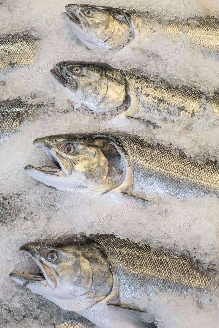 Whole fish displayed on crushed ice at Pike Place Market in Seattle, Washington.