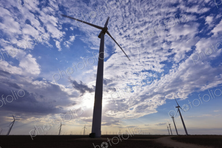 Wind Farm