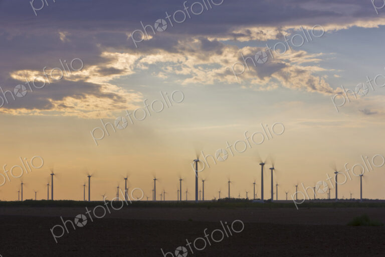 Wind Farm at Dusk