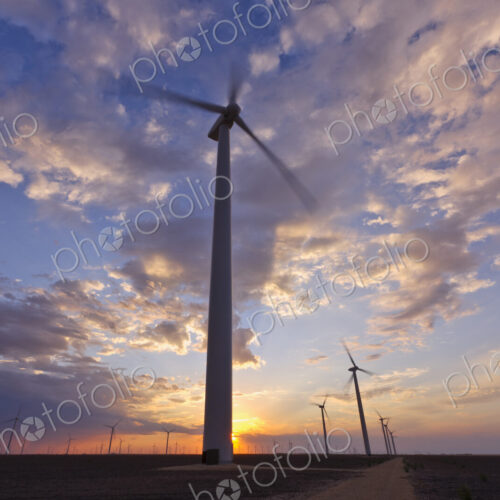 Wind Farm at Sunset Wind Farm at Sunset