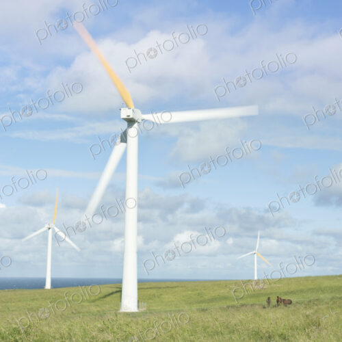 Wind Turbines in Kohala, Hawaii, USA Wind Turbines in Kohala, Hawaii, USA