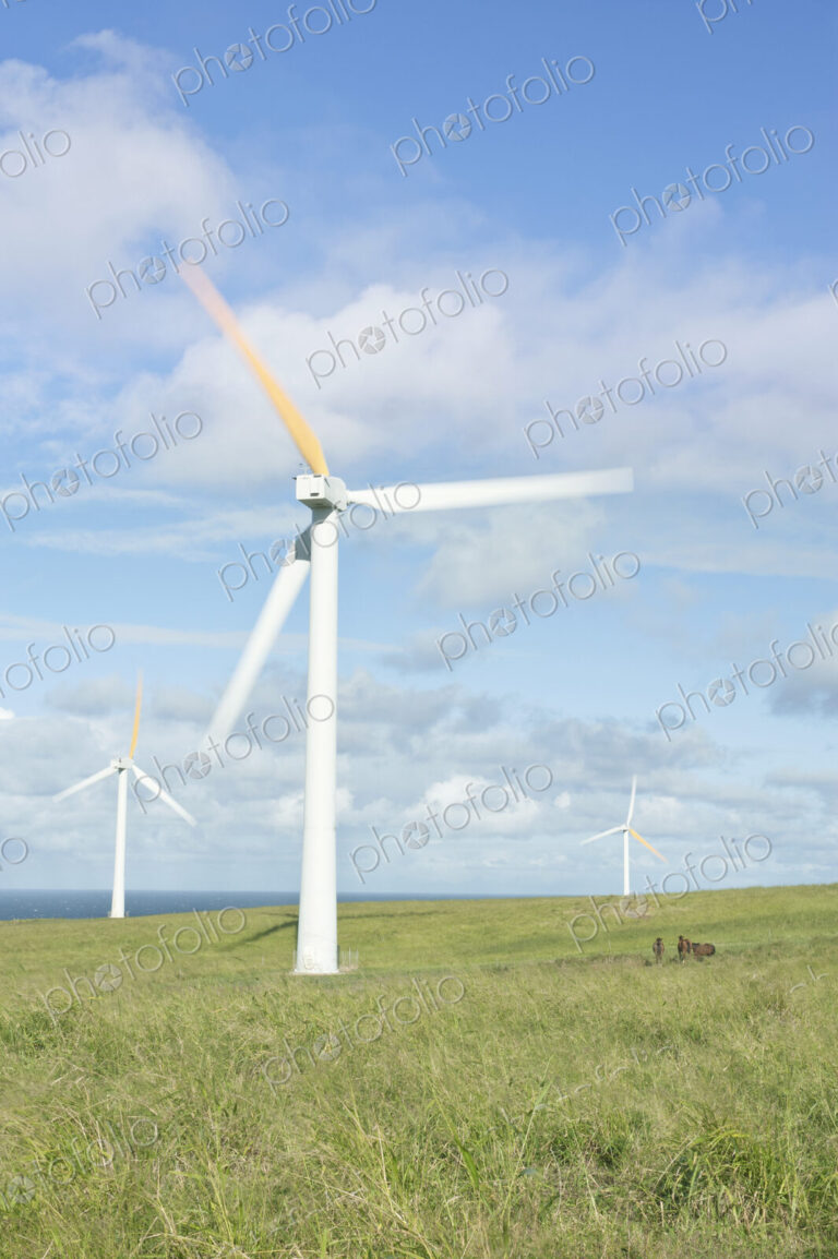 Wind Turbines in Kohala, Hawaii, USA