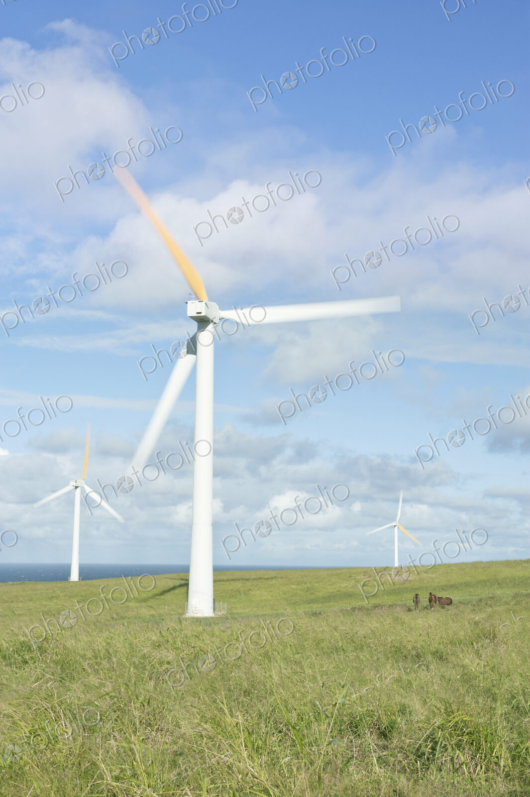 Wind Turbines in Kohala, Hawaii, USA