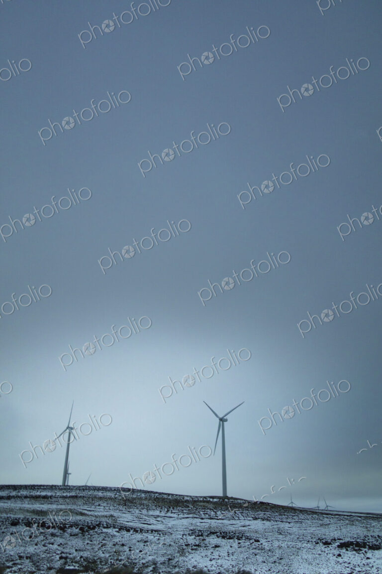 Wind turbines, Wild Horse Renewable Energy Center, Kittitas.
