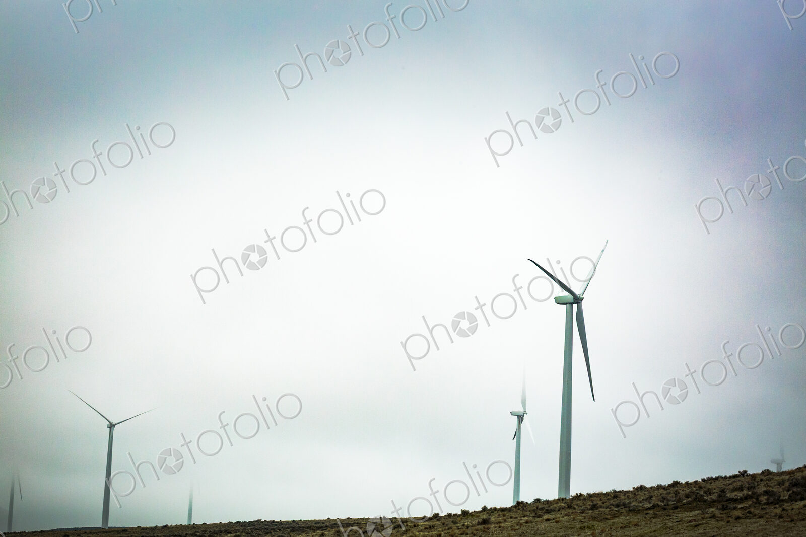 Wind turbines at the Wild Horse Wind Farm against a grey sky