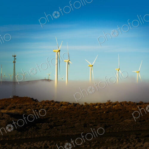 Wind turbines emerging from fog at Ryegrass Pass along Interstate 90 Wind turbines emerging from fog at Ryegrass Pass along Interstate 90