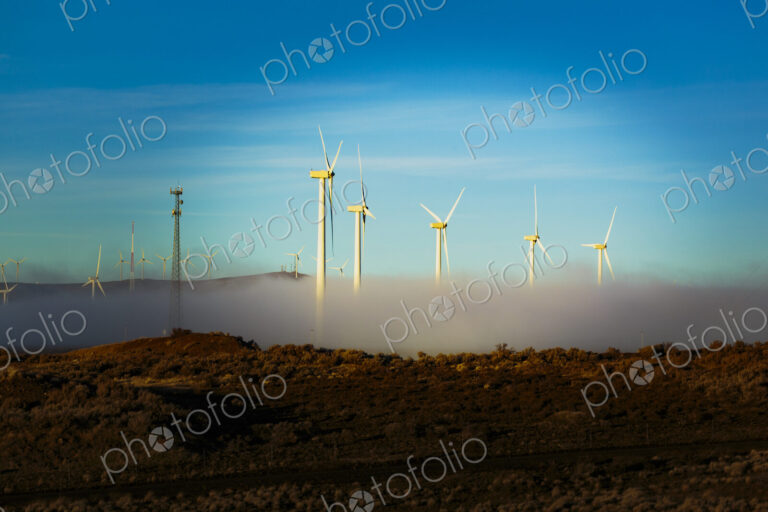 Wind turbines emerging from fog at Ryegrass Pass along Interstate 90