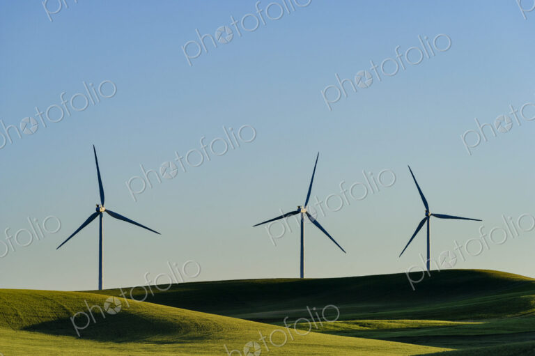 Wind turbines in green rolling landscape