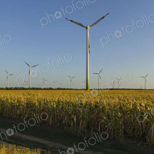 Wind turbines in rural field Wind turbines in rural field