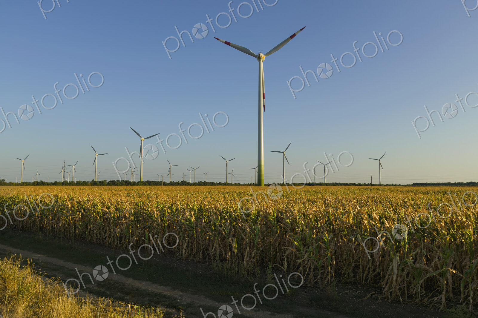 Wind turbines in rural field