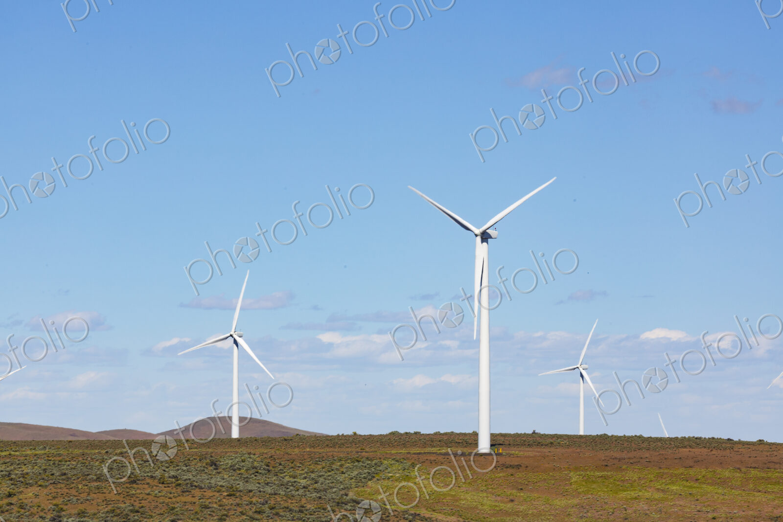 Wind turbines on the rolling hills of Kittikas county in Washington state, tall white…