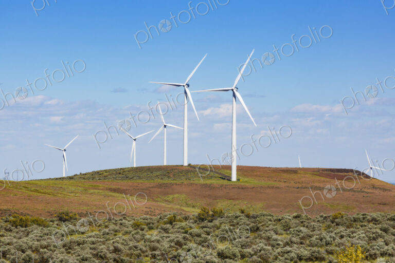 Wind turbines on the rolling hills of Kittikas county in Washington state, tall white…