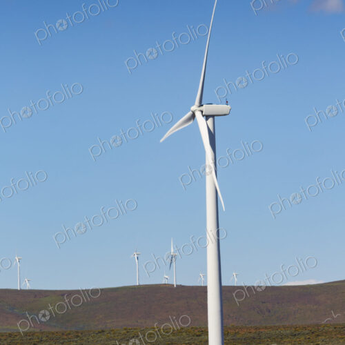 Wind turbines on the rolling hills of Kittikas county in Washington state, tall white…