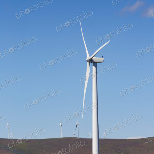 Wind turbines on the rolling hills of Kittikas county in Washington state, tall white…
