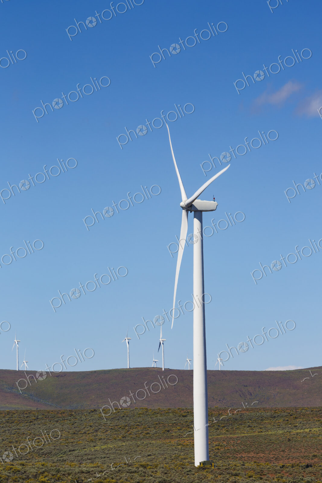 Wind turbines on the rolling hills of Kittikas county in Washington state, tall white…