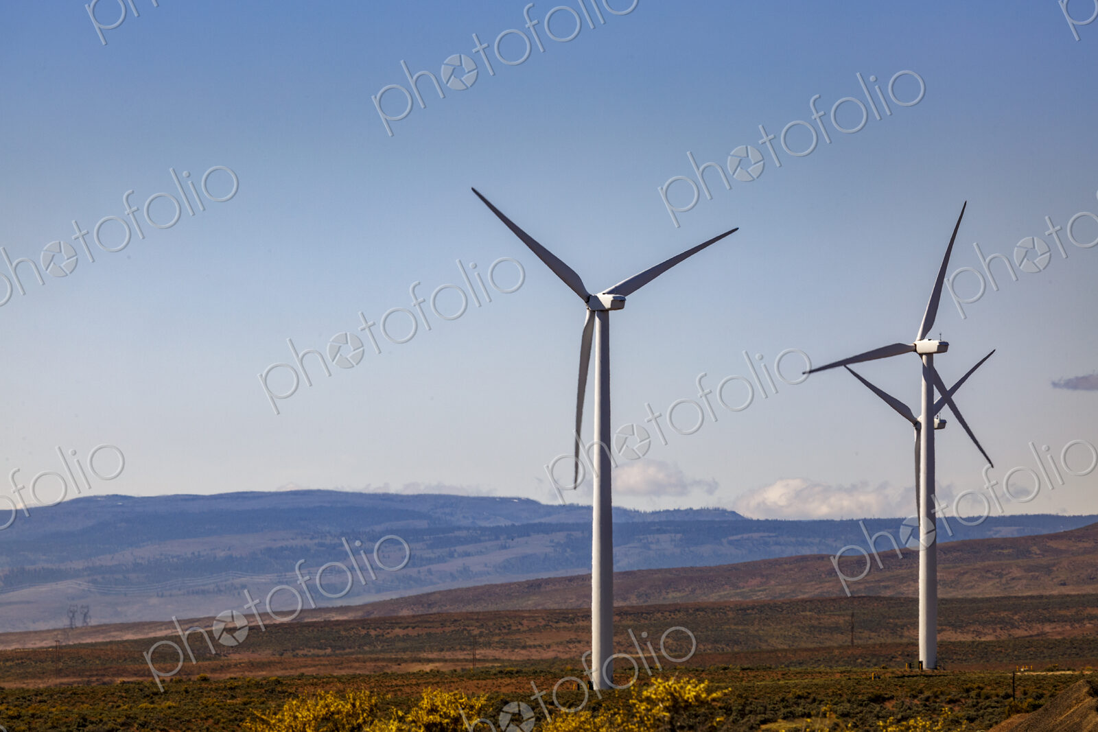 Wind turbines on the rolling hills of Kittikas county in Washington state, tall white…