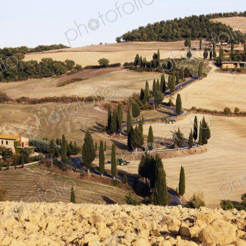 Winding Road