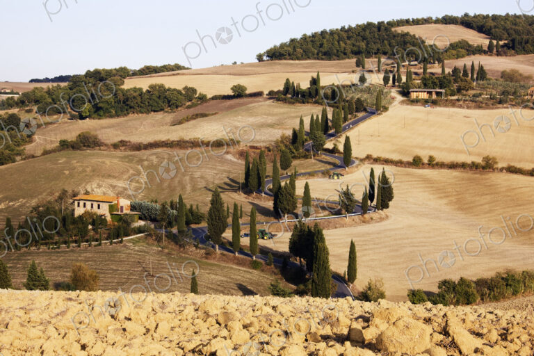 Winding Road