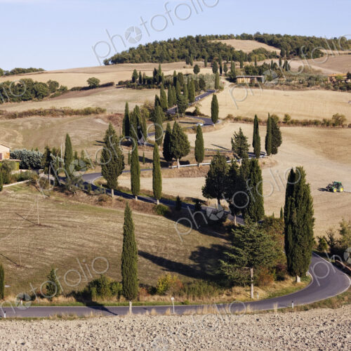 Winding Road