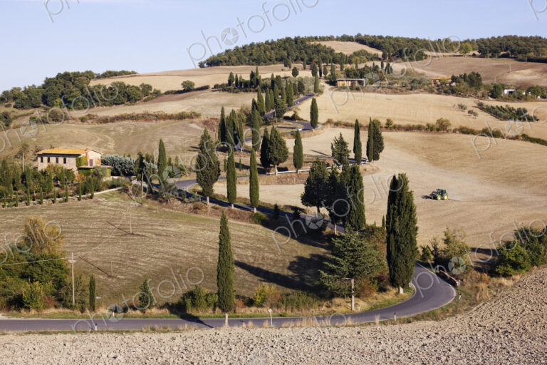 Winding Road