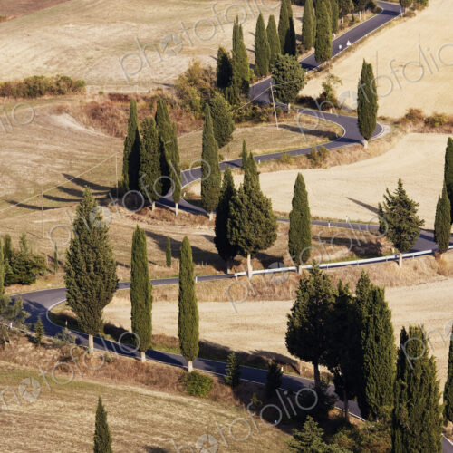 Winding Road